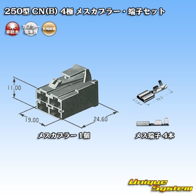 画像5: 矢崎総業 250型 CN(B) 非防水 4極 メスカプラー・端子セット