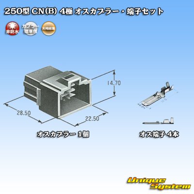 画像5: 矢崎総業 250型 CN(B) 非防水 4極 オスカプラー・端子セット