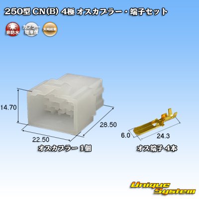 画像1: 矢崎総業 250型 CN(B) 非防水 4極 オスカプラー・端子セット