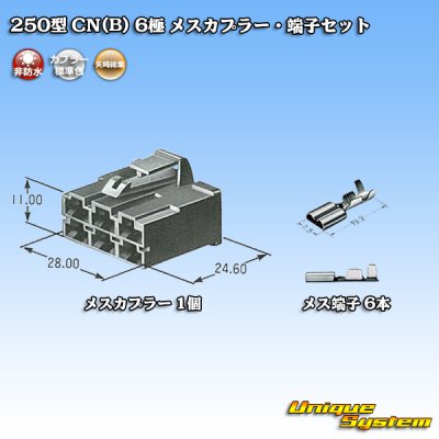 画像5: 矢崎総業 250型 CN(B) 非防水 6極 メスカプラー・端子セット