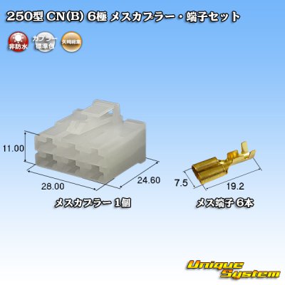 画像1: 矢崎総業 250型 CN(B) 非防水 6極 メスカプラー・端子セット