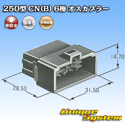 画像4: 矢崎総業 250型 CN(B) 非防水 6極 オスカプラー