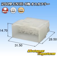 矢崎総業 250型 CN(B) 非防水 6極 オスカプラー