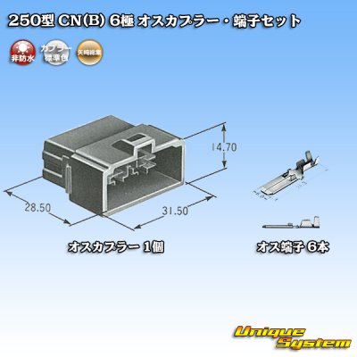 画像5: 矢崎総業 250型 CN(B) 非防水 6極 オスカプラー・端子セット