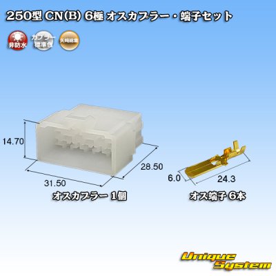 画像1: 矢崎総業 250型 CN(B) 非防水 6極 オスカプラー・端子セット