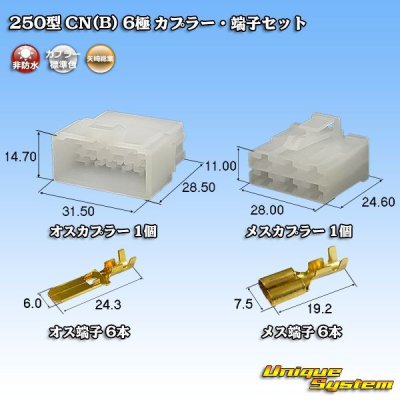 画像1: 矢崎総業 250型 CN(B) 非防水 6極 カプラー・端子セット