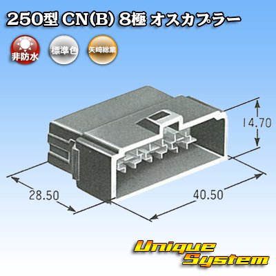 画像4: 矢崎総業 250型 CN(B) 非防水 8極 オスカプラー