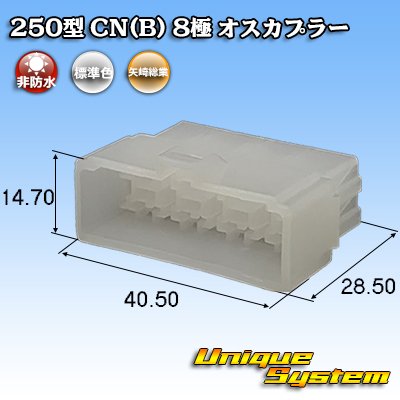 画像1: 矢崎総業 250型 CN(B) 非防水 8極 オスカプラー