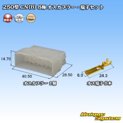 画像1: 矢崎総業 250型 CN(B) 非防水 8極 オスカプラー・端子セット