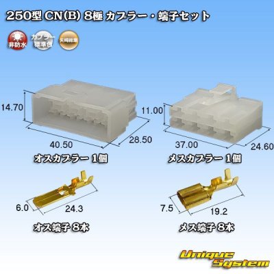 画像1: 矢崎総業 250型 CN(B) 非防水 8極 カプラー・端子セット