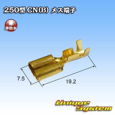 画像2: 矢崎総業 250型 CN(B) 非防水 メス端子