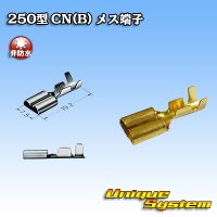 矢崎総業 250型 CN(B) 非防水 メス端子