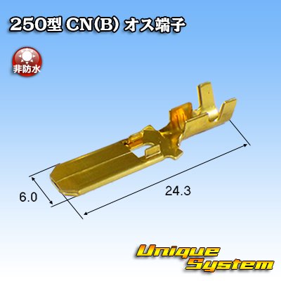 画像2: 矢崎総業 250型 CN(B) 非防水 オス端子