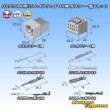 画像6: 住友電装 025+090型TS ハイブリッド 非防水 17極 カプラー・端子セット (025型TS 8極+090型TS 9極) (6)