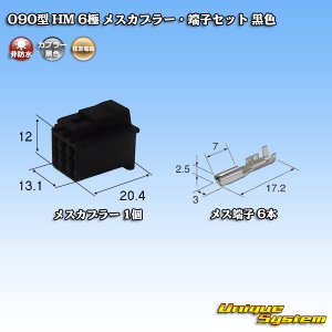 画像: 住友電装 090型 HM 非防水 6極 メスカプラー・端子セット 黒色