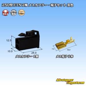 画像: 住友電装 250型 ETN 非防水 2極 メスカプラー・端子セット タイプ1 黒色