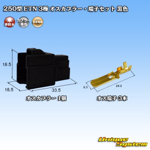 画像: 住友電装 250型 ETN 非防水 3極 オスカプラー・端子セット 黒色