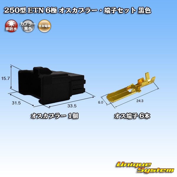画像1: 住友電装 250型 ETN 非防水 6極 オスカプラー・端子セット 黒色 (1)