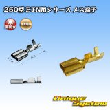 画像: 住友電装 250型 ETN用シリーズ 非防水 メス端子 適用電線サイズ：0.5-2.0mm2