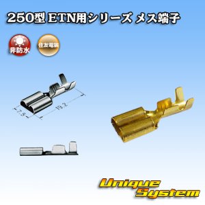 画像: 住友電装 250型 ETN用シリーズ 非防水 メス端子 適用電線サイズ：0.5-2.0mm2