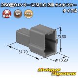 画像: 矢崎総業 250型91シリーズ M-LCタイプ 非防水 2極 オスカプラー タイプ2