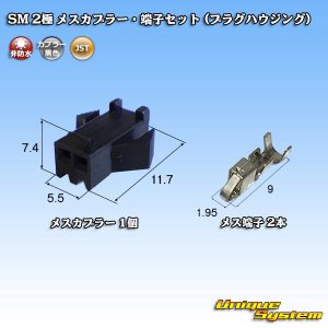 画像: JST 日本圧着端子製造 SM 非防水 2極 メスカプラー・端子セット (プラグハウジング)