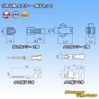 画像6: JST 日本圧着端子製造 SM 非防水 2極 カプラー・端子セット (6)