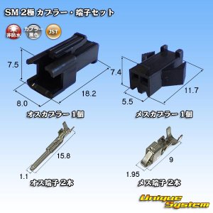 画像: JST 日本圧着端子製造 SM 非防水 2極 カプラー・端子セット