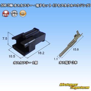画像: JST 日本圧着端子製造 SM 非防水 3極 オスカプラー・端子セット (リセプタクルハウジング)