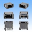 画像3: 住友電装 020型 非防水 HE 12極 オスカプラー 灰色 (PCBタイプ) (3)