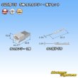 画像4: 住友電装 025型 TS 非防水 5極 オスカプラー・端子セット (4)