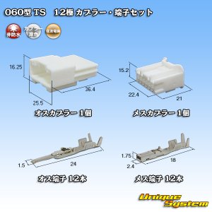 画像: 住友電装 060型 TS 非防水 12極 カプラー・端子セット