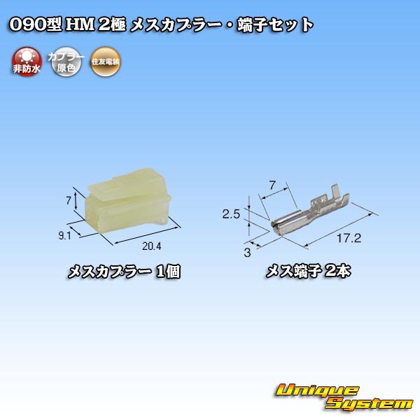 画像1: 住友電装 090型 HM 非防水 2極 メスカプラー・端子セット (1)