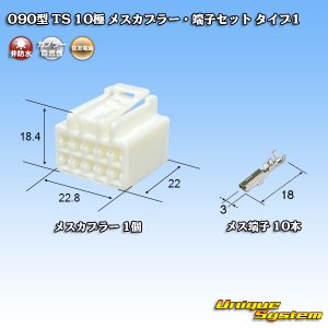 画像: 住友電装 090型 TS 非防水 10極 メスカプラー・端子セット タイプ1