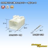 画像: 住友電装 090型 TS 非防水 13極 オスカプラー・端子セット