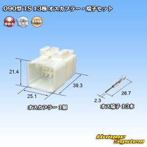 画像: 住友電装 090型 TS 非防水 13極 オスカプラー・端子セット