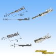 画像7: 住友電装 025+090型TS ハイブリッド 非防水 20極 カプラー・端子セット (7)