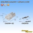 画像5: 住友電装 187型 TS 非防水 2極 オスカプラー・端子セット タイプ2 (5)