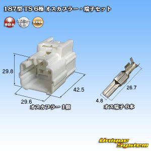 画像: 住友電装 187型 TS 非防水 6極 オスカプラー・端子セット タイプ1