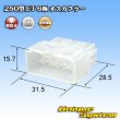 画像1: 住友電装 250型 ET 非防水 6極 オスカプラー (1)