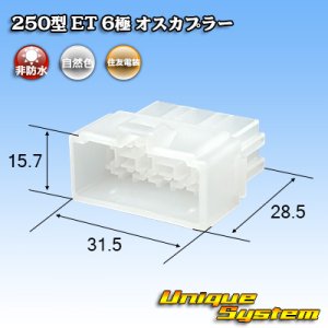画像: 住友電装 250型 ET 非防水 6極 オスカプラー
