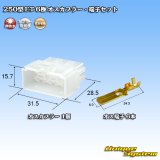 画像: 住友電装 250型 ET 非防水 6極 オスカプラー・端子セット