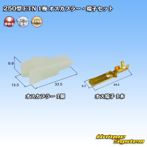 画像: 住友電装 250型 ETN 非防水 1極 オスカプラー・端子セット