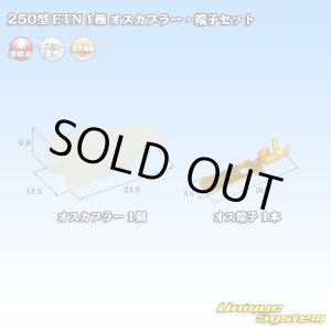 画像: 住友電装 250型 ETN 非防水 1極 オスカプラー・端子セット