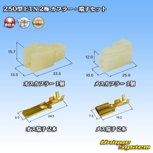 画像: 住友電装 250型 ETN 非防水 2極 カプラー・端子セット タイプ1