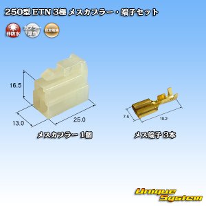 画像: 住友電装 250型 ETN 非防水 3極 メスカプラー・端子セット