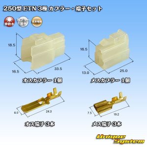 画像: 住友電装 250型 ETN 非防水 3極 カプラー・端子セット