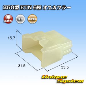 画像: 住友電装 250型 ETN 非防水 6極 オスカプラー