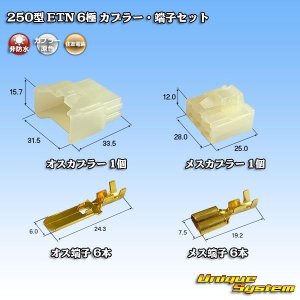 画像: 住友電装 250型 ETN 非防水 6極 カプラー・端子セット