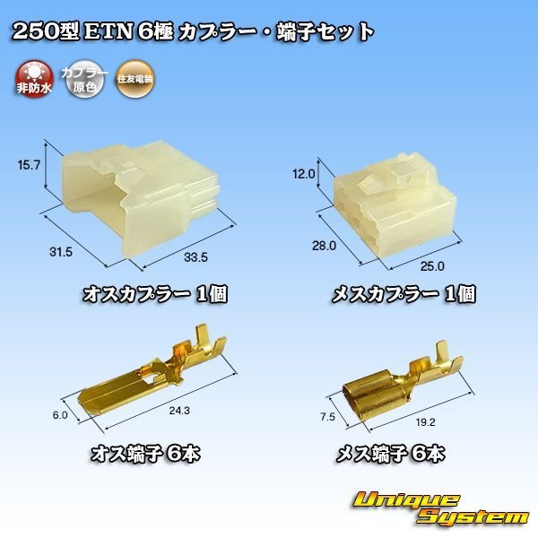 画像1: 住友電装 250型 ETN 非防水 6極 カプラー・端子セット (1)